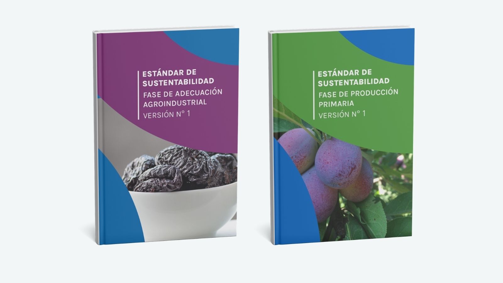 Recursos para Estándar de Sustentabilidad de la Industria de Ciruelas Deshidratadas