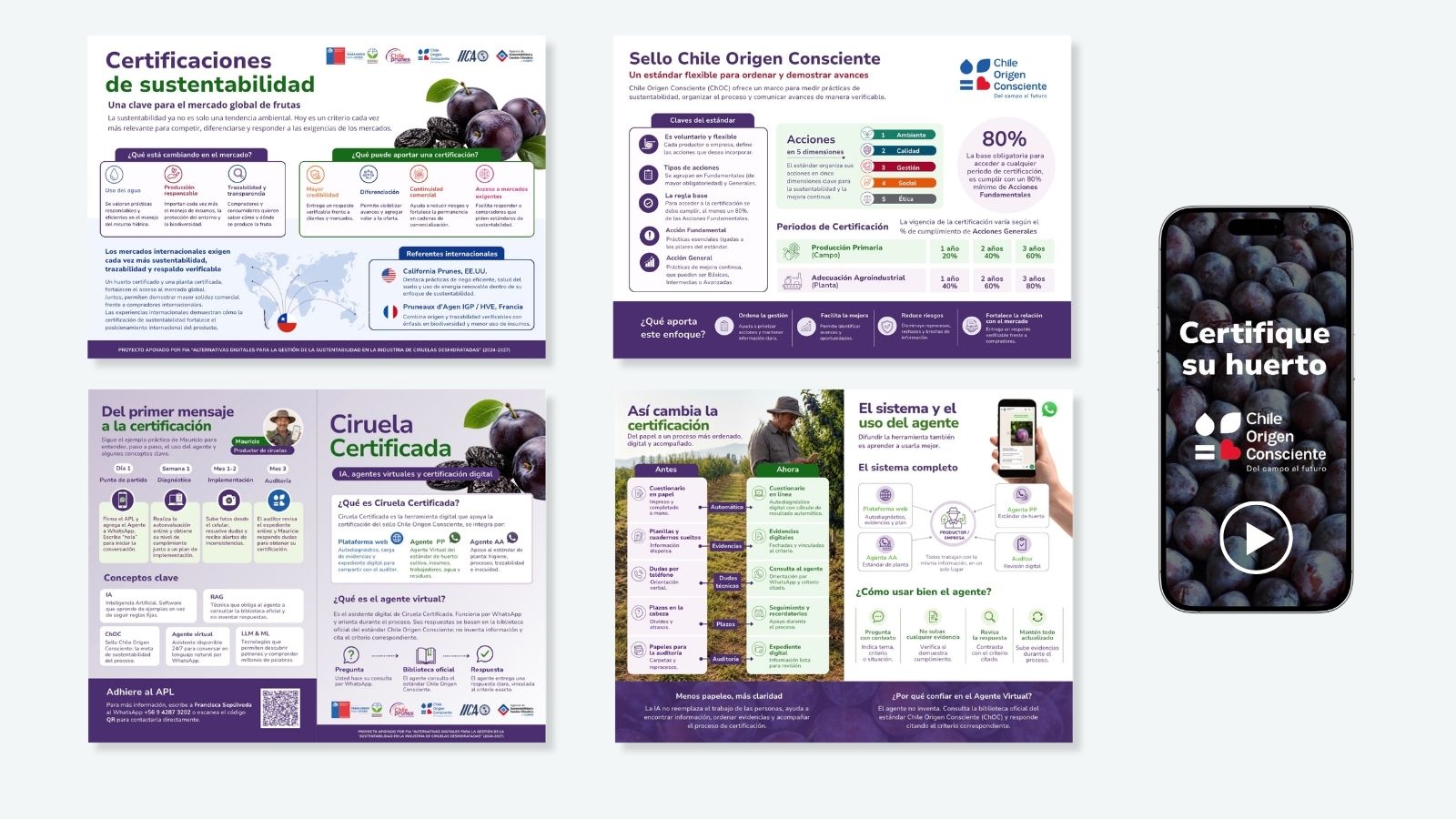 Recursos para Estándar de Sustentabilidad de la Industria de Ciruelas Deshidratadas — detalle 1